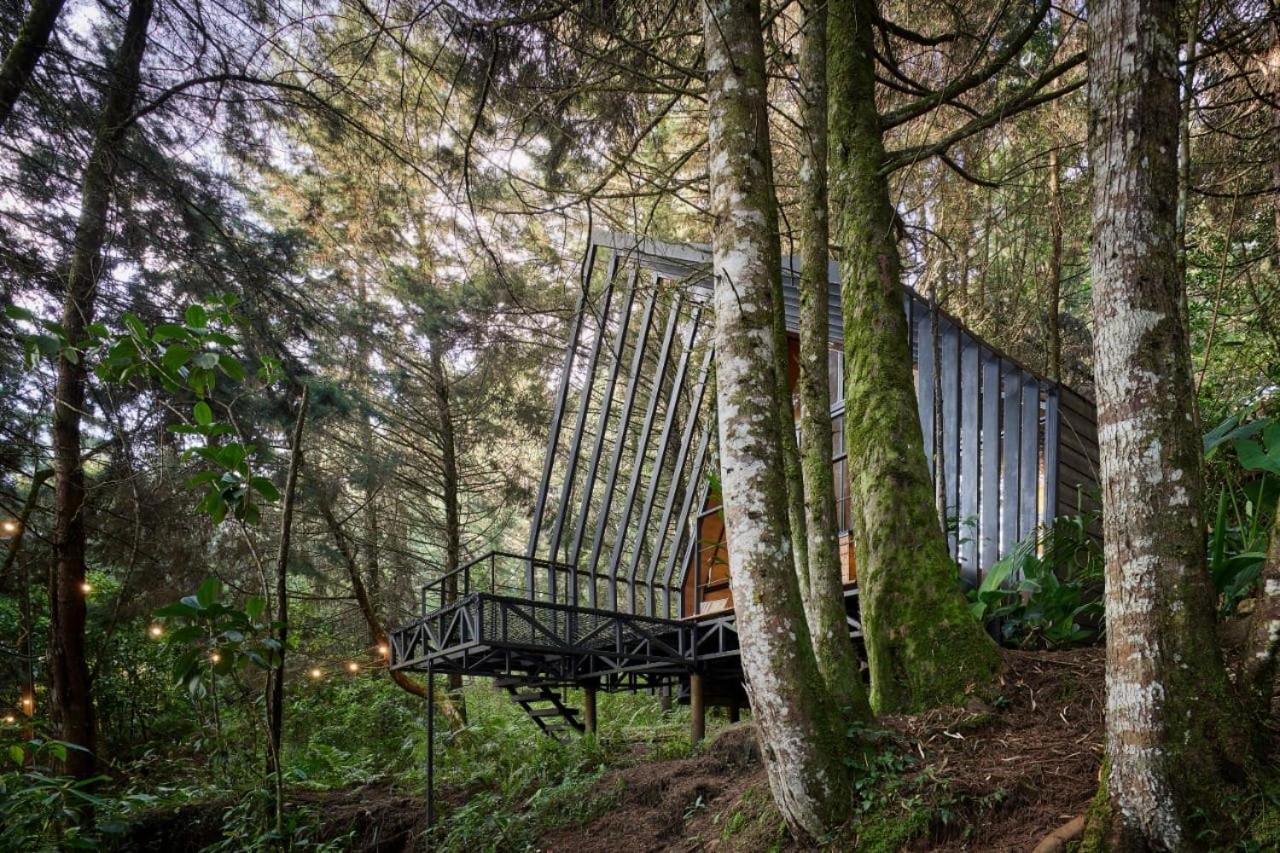 Oculto Refugio De Bosque 호텔 엔비가도 외부 사진