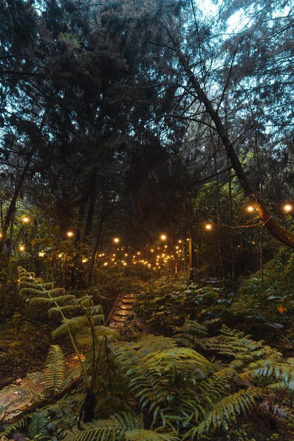Oculto Refugio De Bosque 호텔 엔비가도 외부 사진
